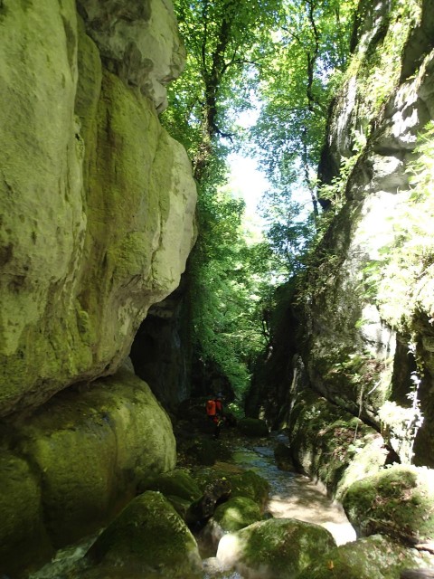 Colombire7 (5).JPG