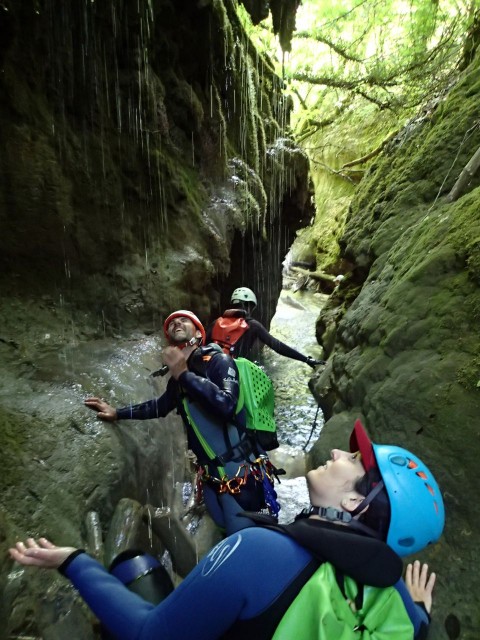 arodin (11).JPG