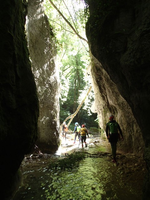 arodin (8).JPG
