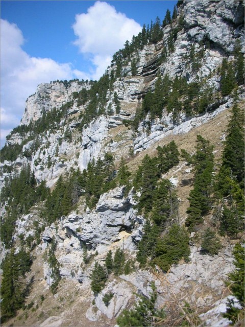 2011-04-17 sortie geologie Chartreuse (9.JPG