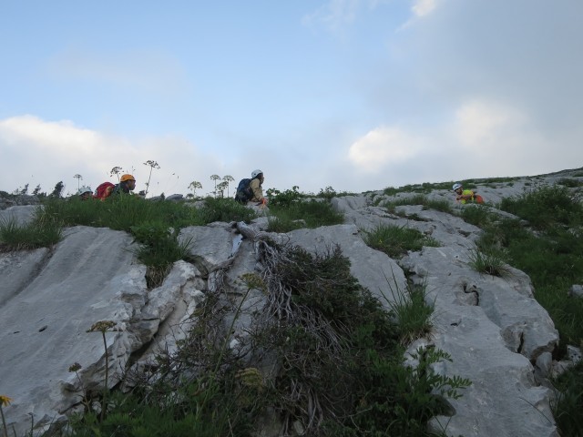IMG_9913_1.JPG