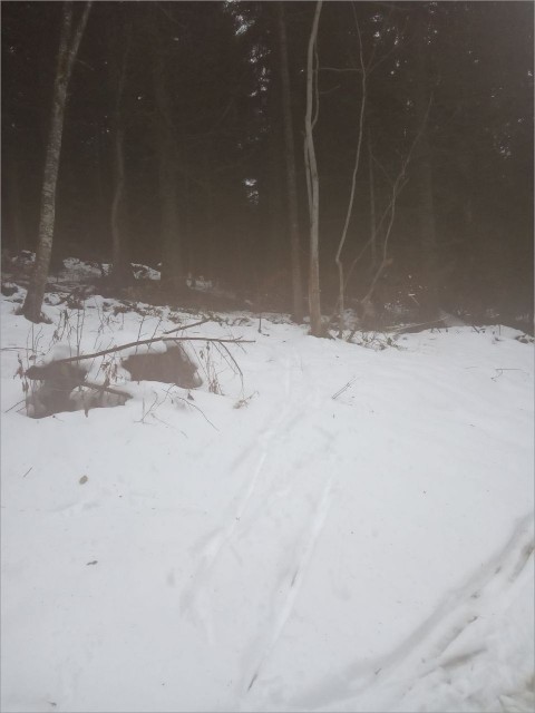 IMG_20191123_145752.jpg