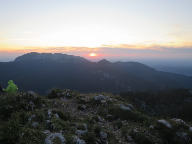IMG_3373_1.JPG