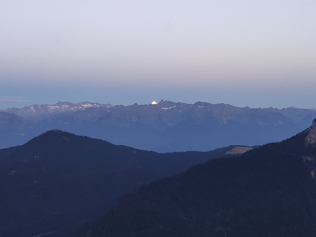 IMG_20230731_211115.jpg