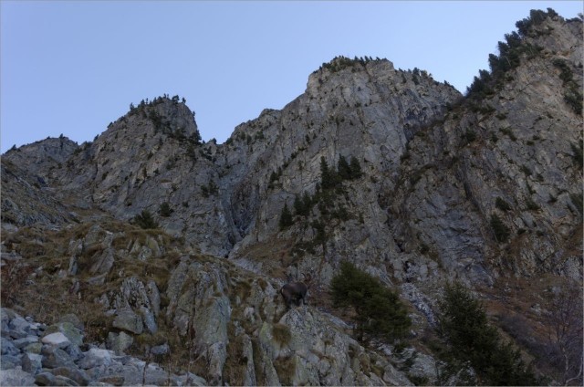 2015-11-11,10-02-57.jpg