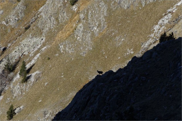 2015-11-11,10-13-01.jpg