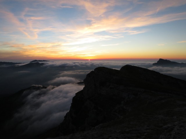 IMG_7167_1.JPG