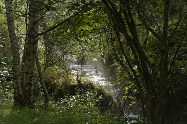 2017-07-23,09-38-03,Rif Bruyant.jpg