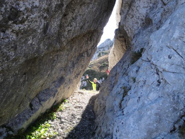 DSC05977-b.jpg