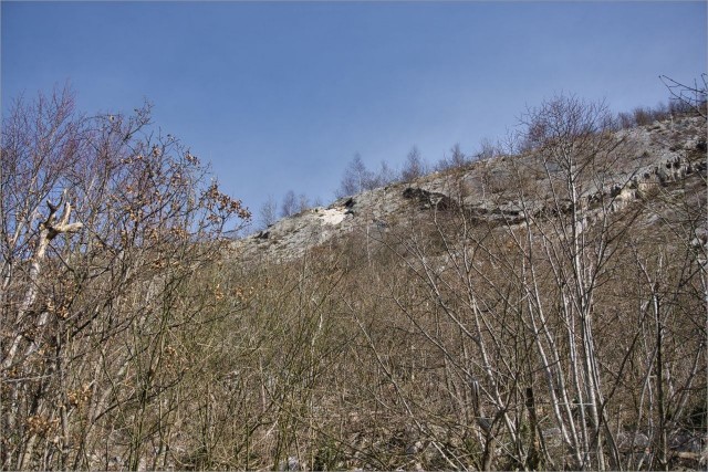 DSC07576.jpg