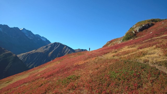 c-WP_20190929_10_28_09_Pro.jpg