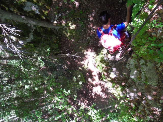 SDC17608.JPG