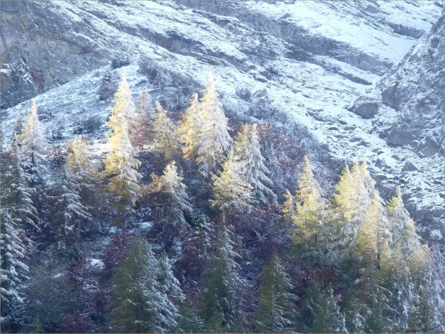 pP1010265.JPG