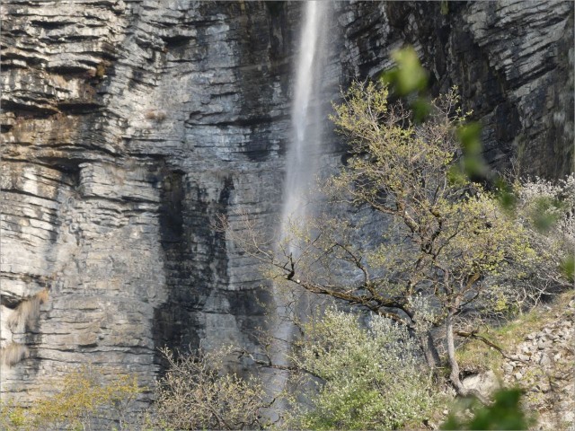 pP1020315.JPG