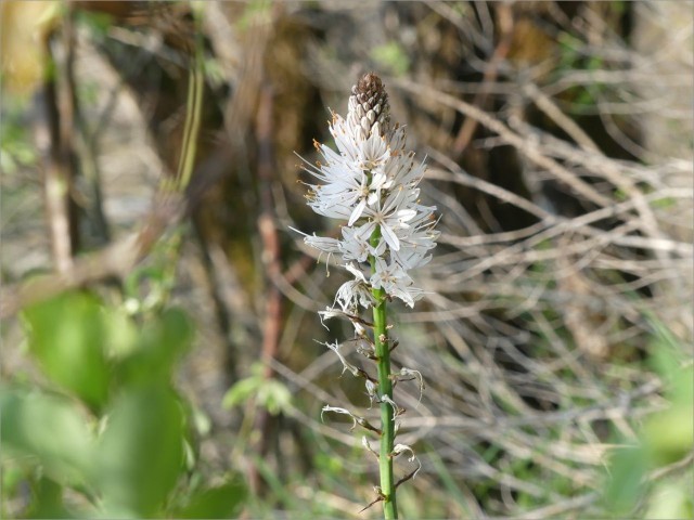 pP1020319.JPG