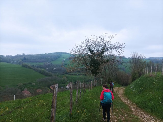 Camp de Csar (7).jpg