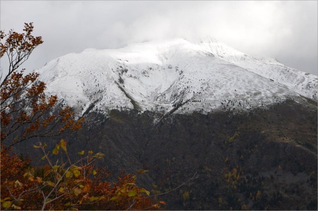 DSC_0461.jpg