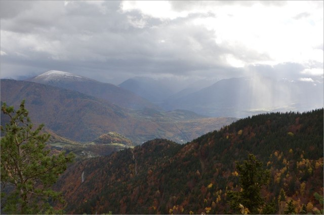 DSC_0462.jpg