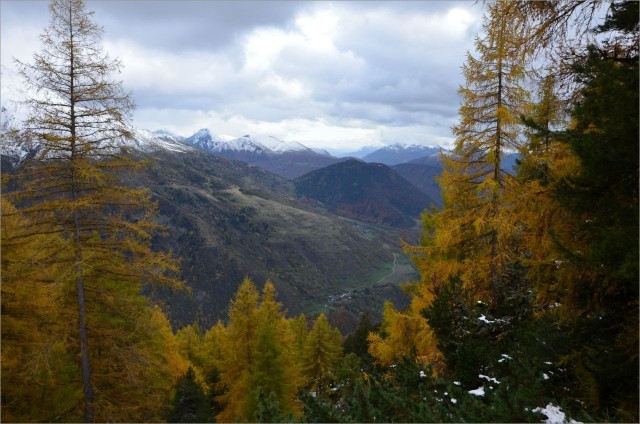 DSC_0473.jpg