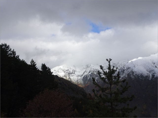 DSC00696.JPG