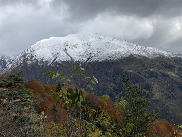 IMG_9810.JPG