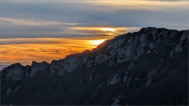 PXL_20231118_154924960.jpg