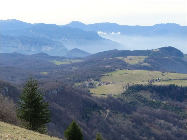 P1000816.JPG