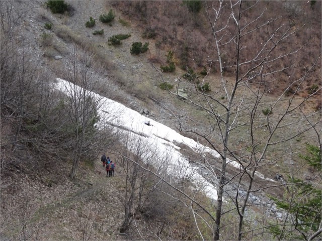 DSC00803.JPG