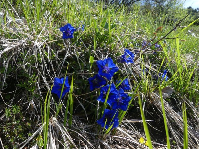 P1090176.JPG