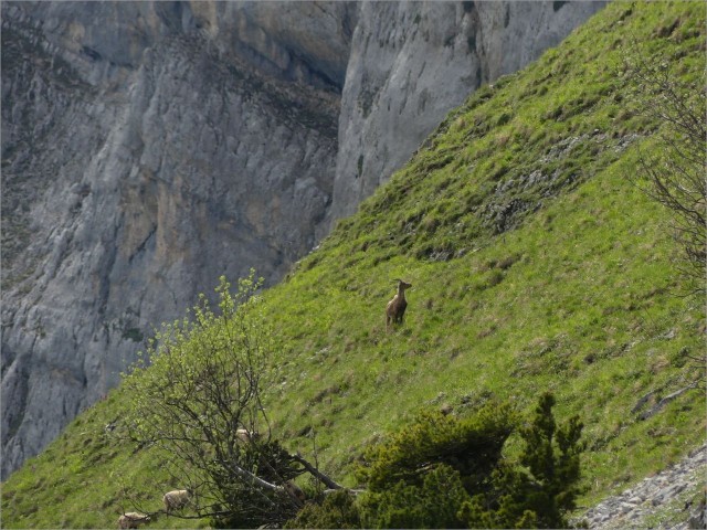 P1090207.JPG