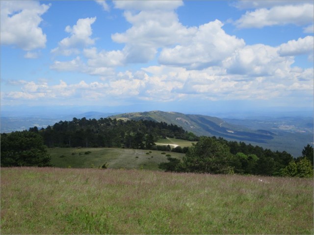 IMG_7140.JPG