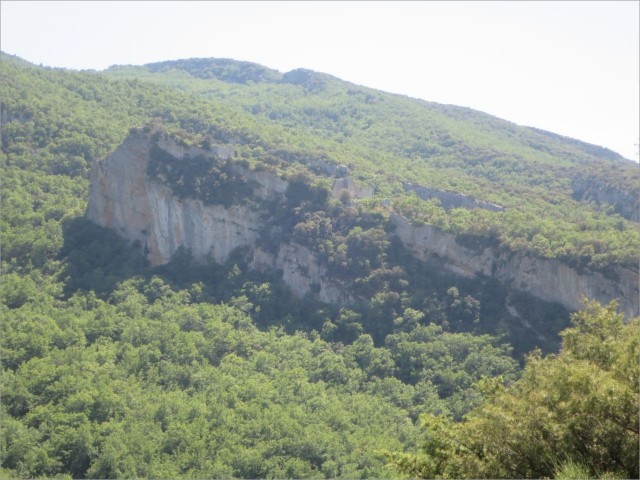 IMG_7206.JPG