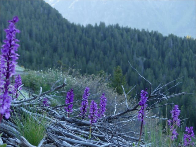 P1090251.JPG