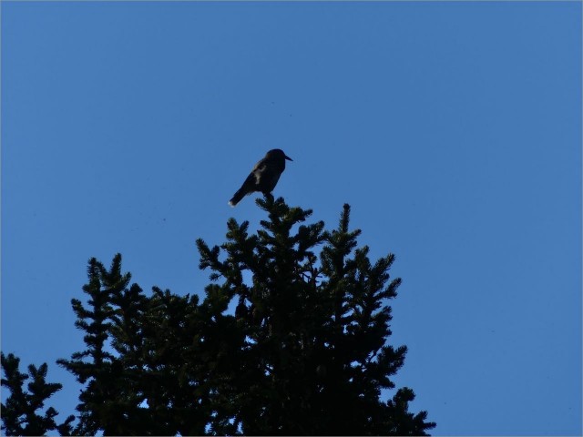P1090262.JPG