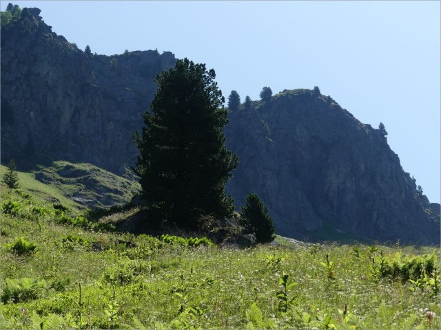 P1090643.JPG