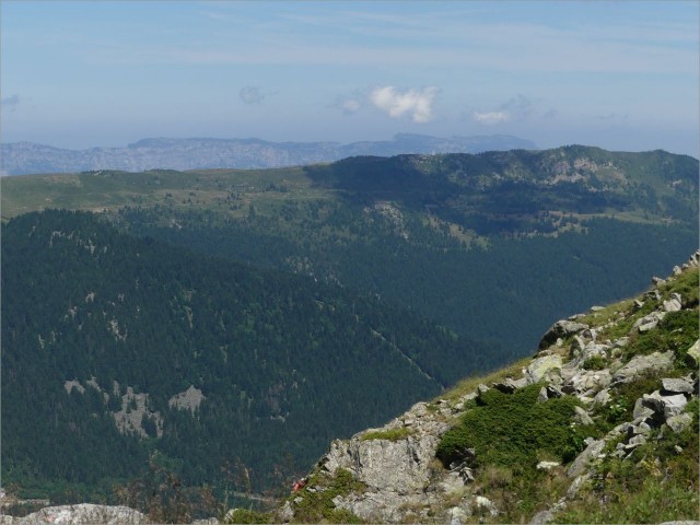 P1090650.JPG