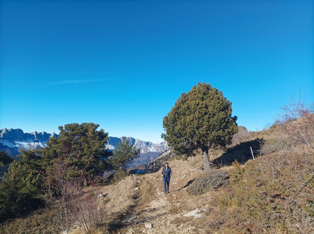 Montagne de la Pale (18).jpg