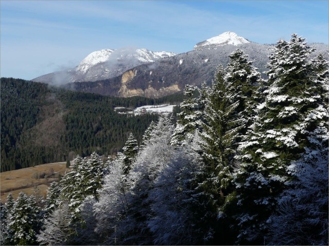P1080446.JPG