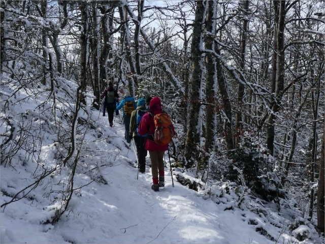 P1080456.JPG