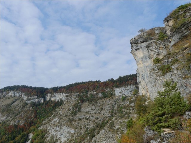 P1160535.JPG