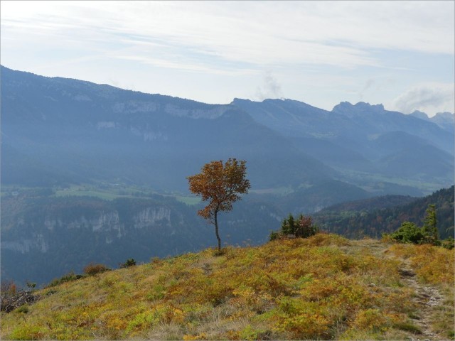 P1160541.JPG