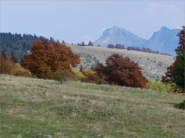 P1160553.JPG