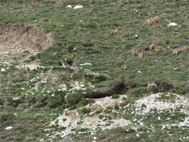 P1160566.JPG