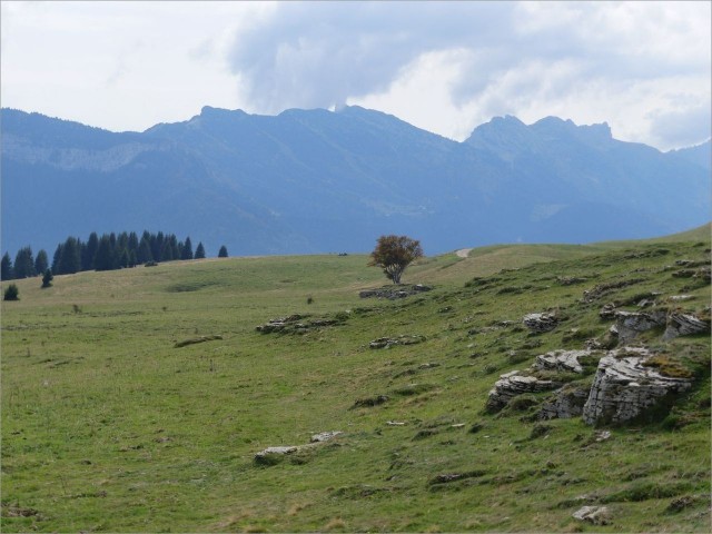 P1160568.JPG