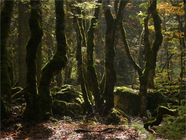 P1160572.JPG
