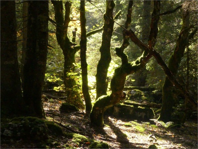 P1160585.JPG