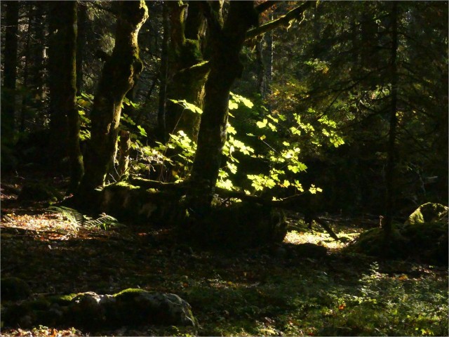 P1160582.JPG