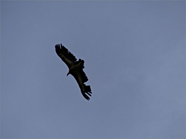 P1140589.JPG