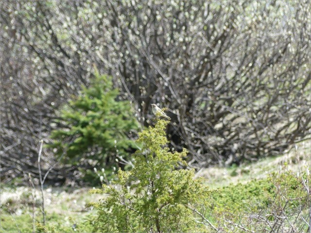P1140600.JPG