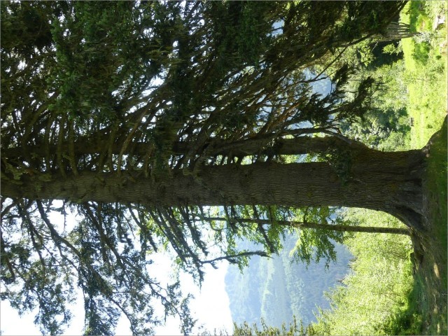 P1150926.JPG